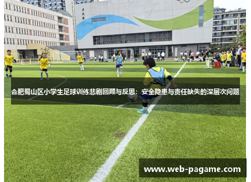 合肥蜀山区小学生足球训练悲剧回顾与反思:安全隐患与责任缺失的深层次问题 合肥蜀山区小学生足球训练悲剧回顾与反思:安全隐患与责任缺失的深层次问题